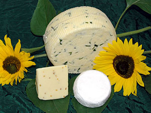 B&auml;rlauchk&auml;se